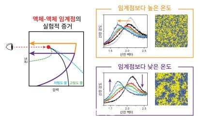 X선 자유전자 레이저를 활용해 관측된 액체-액체 임계점이 존재한다는 실험적 증거에 대한 모식도.ⓒPOSTECH