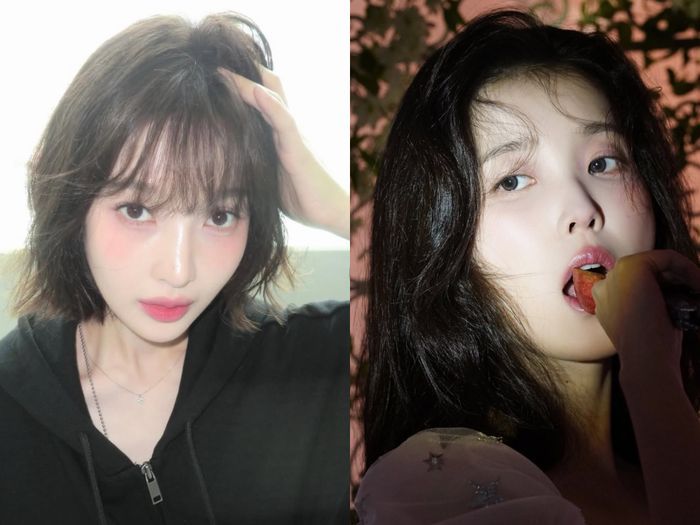 박혜경 “저작권 다 팔았는데…아이유가 불러 180배 뛰었다”