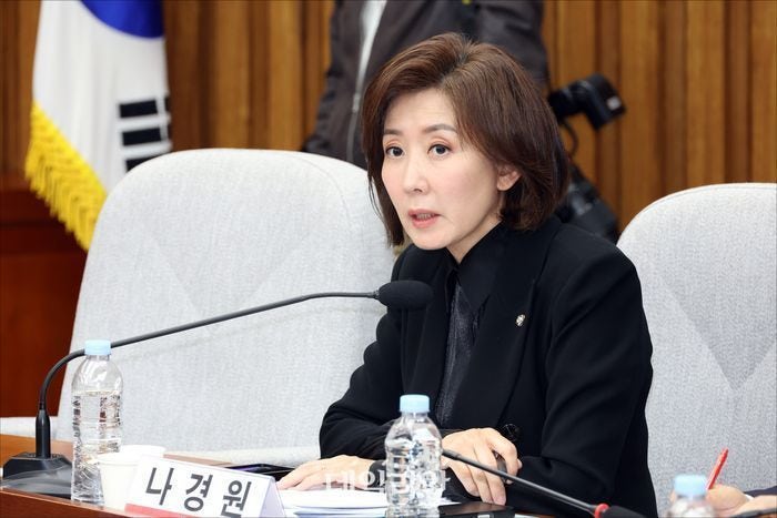 한동훈 복당은 시기상조?…나경원 "마음 급해진 것 같은데 기다려야"