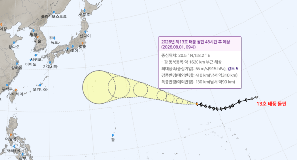 "8월 초 여름 휴가 괜찮을까"...<b>태풍</b> '돌핀' 진로에 촉각