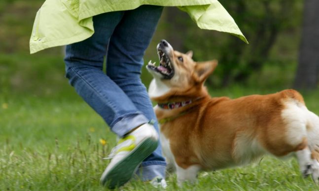 ◆…사진은 기사내용과 관련없음. 사진=클립아트코리아