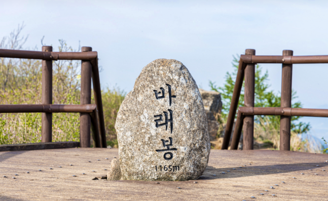 ◆…지리산 바래봉 정상 사진=남원시 공식블로그