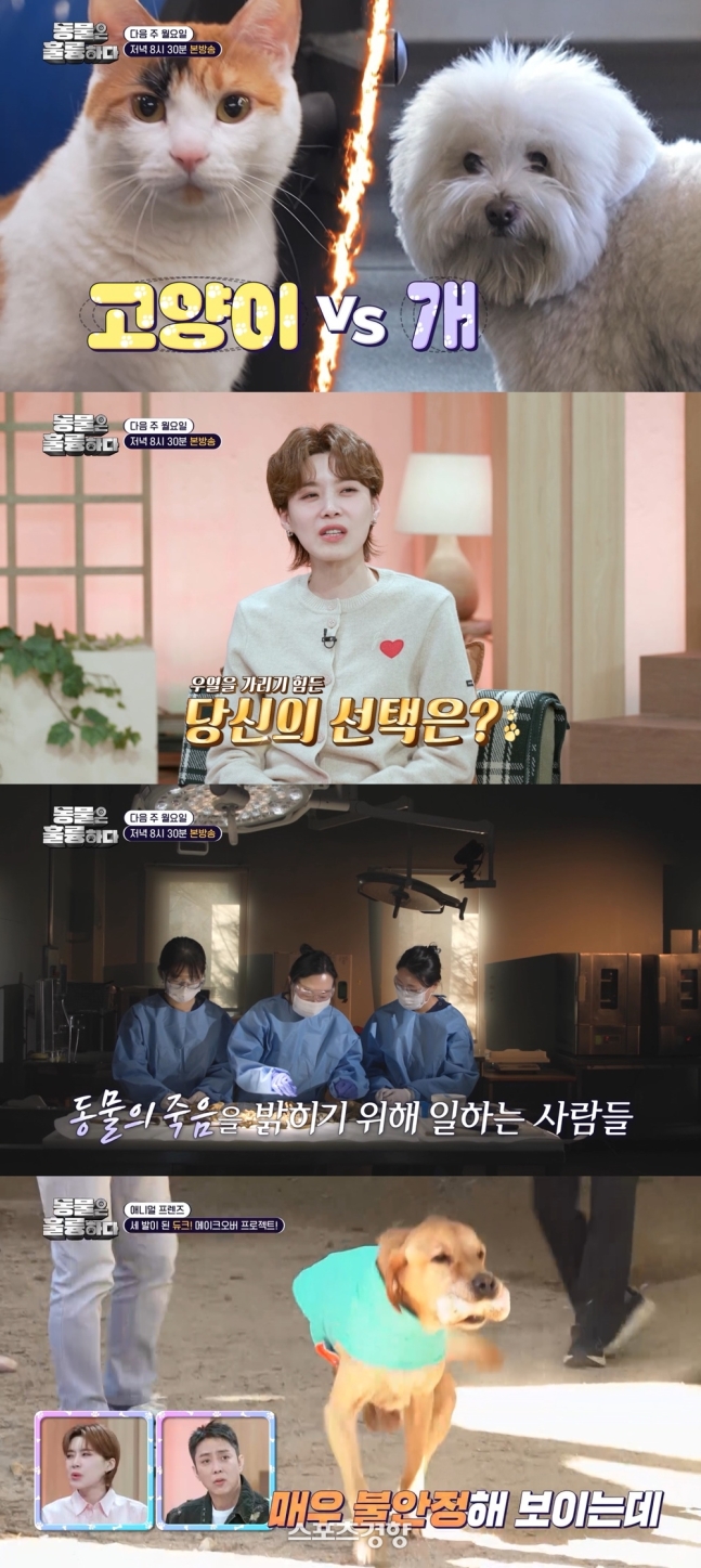 ‘동물의 억울한 죽음 밝힌다’ 동물국과수·수의법의학자(동훌륭)