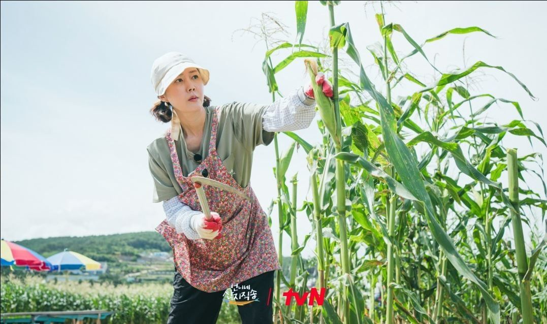 중견 여배우에게 <b>예능</b>은? 해방구![스경연예연구소]