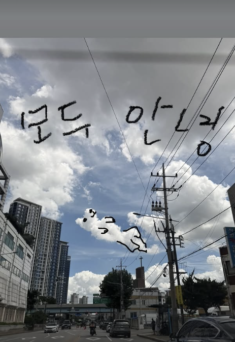 <b>이효리</b>, 암 말기 <b>석삼이</b> 떠나보냈다 “잘 가라 우리 <b>석삼이</b>”