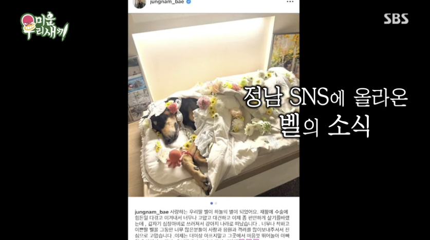 <b>배정남</b>, 유일한 가족 떠나보내는 길 <b>오열</b> “아빠가 미안하다” (미우새...
