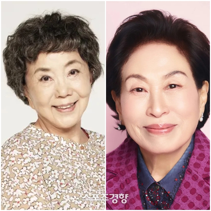 사미자, <b>유튜브</b> 제작진과 <b>출연료</b> 갈등 <b>전원주</b> 영상에 “많이 아껴주세요...