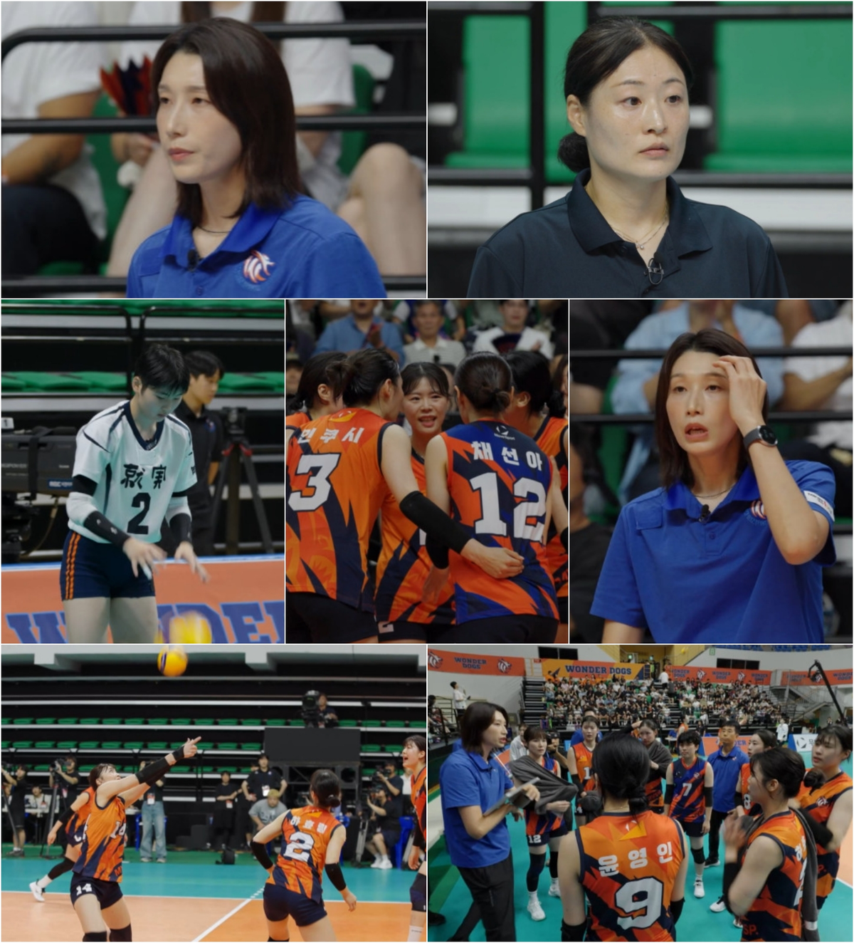 신인감독 김연경 시즌2 일본 슈지츠와 한일전 준비 상황 관련 사진