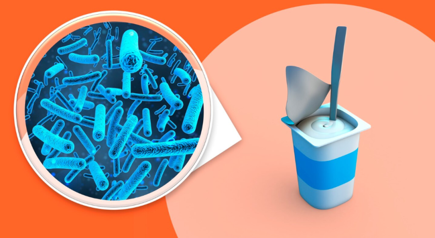 전문가들은 요거트를 장 건강의‘해결책’으로 기대하기보다는,균형 잡힌 식단의 일부로 받아들이는 것이 바람직하다고 말한다.프리픽 이미지