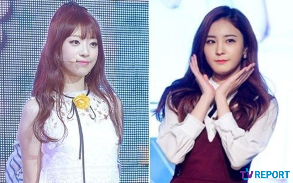 원본 이미지