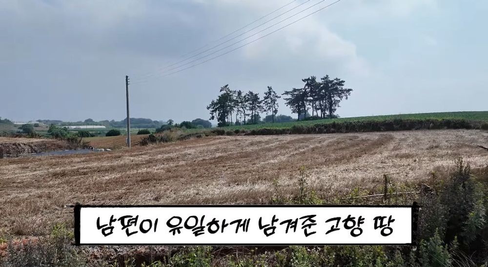 <b>선우용여</b> "전 남편이 남긴 <b>900평 땅</b>, 원래는 만 평 넘는데 다 팔아먹어"...