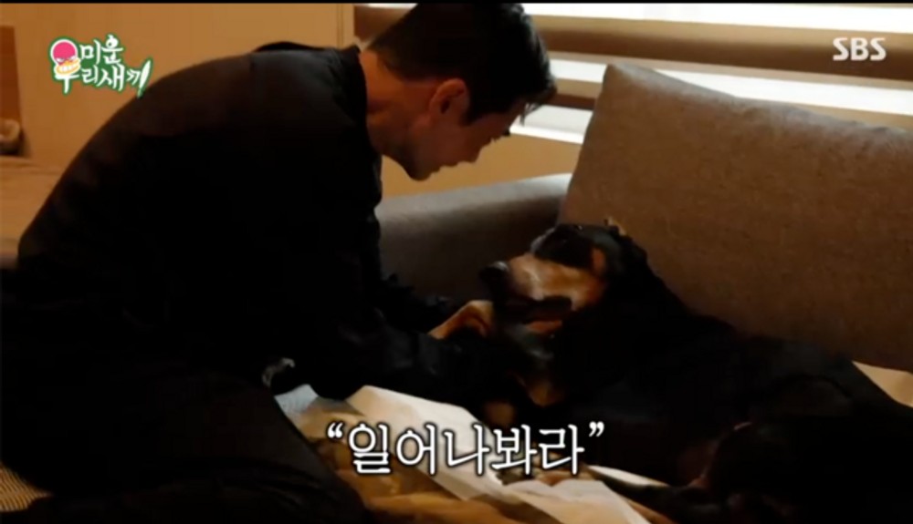 <b>배정남</b>, 싸늘한 <b>벨</b> 시신 앞에서 "일어나라" <b>오열</b>… 서장훈도 '눈물' ('미...