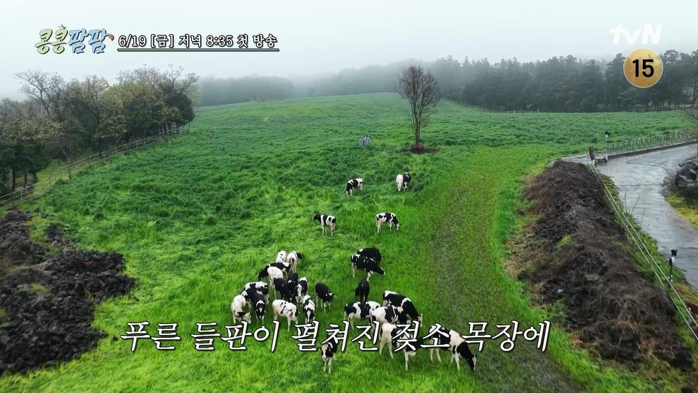 김우빈·도경수·이광수, <b>목장</b> 일정표에 한숨…우분 청소 중 극대노 ('콩...