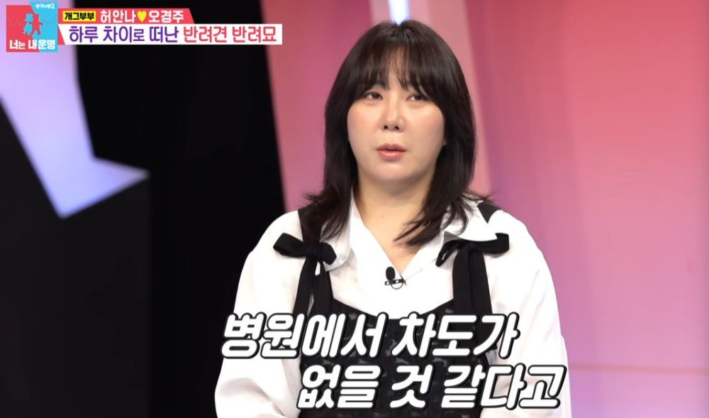 <b>허안나</b> "하루 차이로 반려견·반려묘 떠나.. 눈물이 안나는 날이 올까" ...