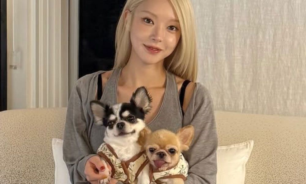 新居のソファに座り、2匹の愛犬を抱くチョア