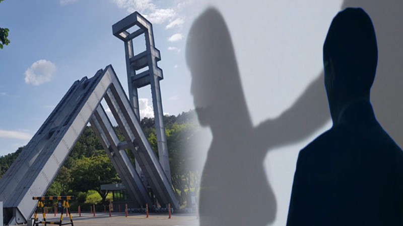 제자 추행 <b>서울대</b> 전 음대 <b>교수</b> 징역 1년 법정구속