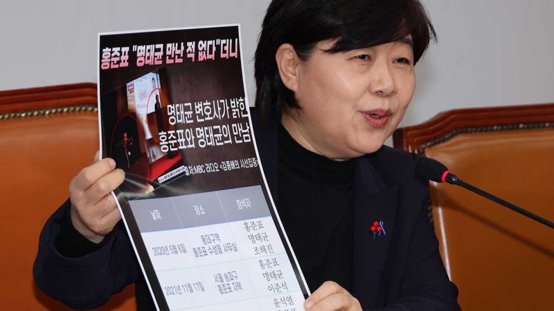 민주당, <b>명태균</b> "<b>홍준표</b> <b>복당</b> 위해 김종인 설득" 주장 녹취록 공개
