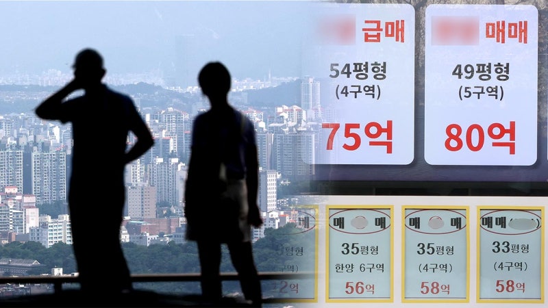 30억이면 한강뷰, 50억이면 강남 진입? 정부의 초고가 기준선