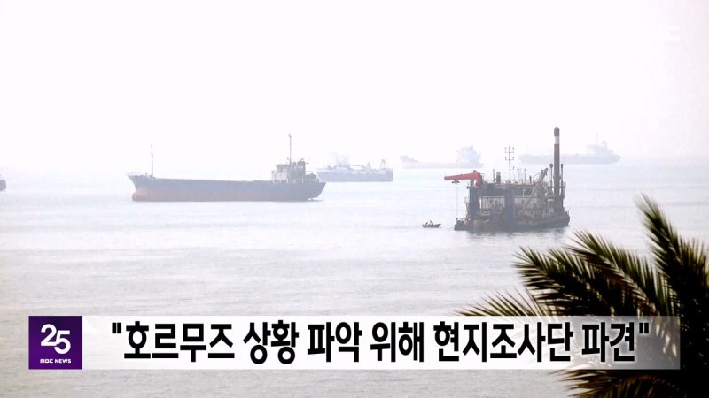 "호르무즈 상황 파악 위해 현지조사단 파견"