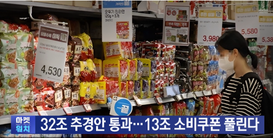 "32조 <b>추경</b> 오늘 <b>처리</b>"…13조 소비쿠폰 풀린다