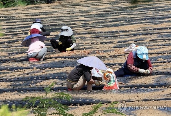 '주 3일' 거주하면 인정…"매달 15만원"