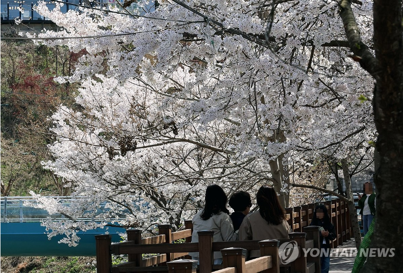꽃샘추위 끝, 봄의 기온 상승! 🌸