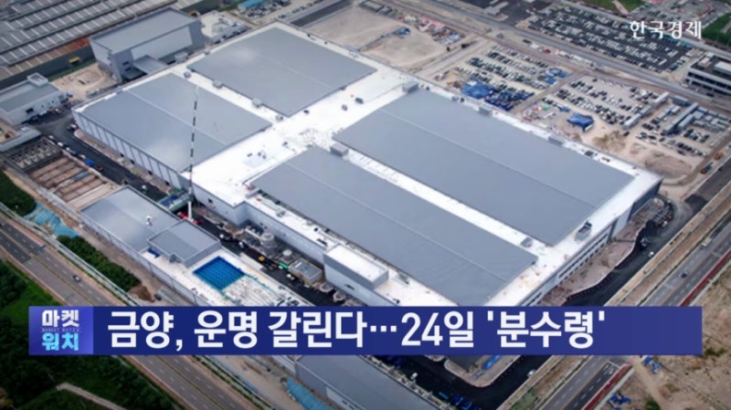 금양, 운명 갈린다...24일 '분수령'