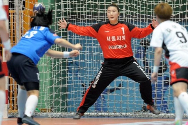 대한핸드볼협회