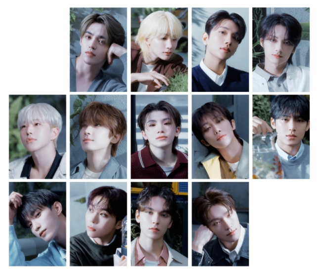 Article thumbnail for SEVENTEEN Donates 1 Billion Won to Aid Wildfire Victims in South Korea
