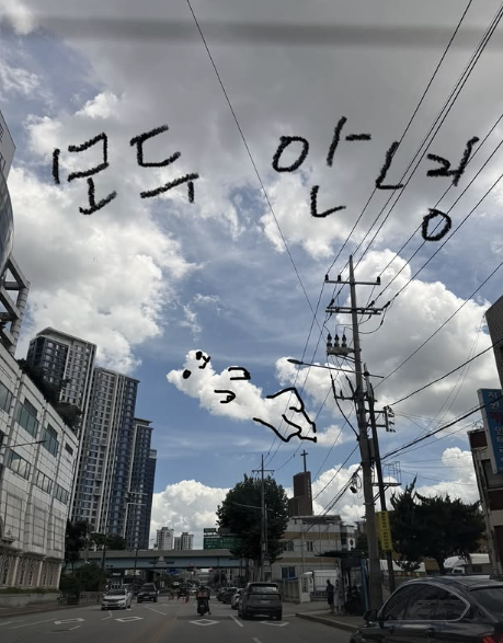 <b>이효리</b>, 암 투병 犬과 안타까운 이별…“잘 가라 우리 <b>석삼이</b>”