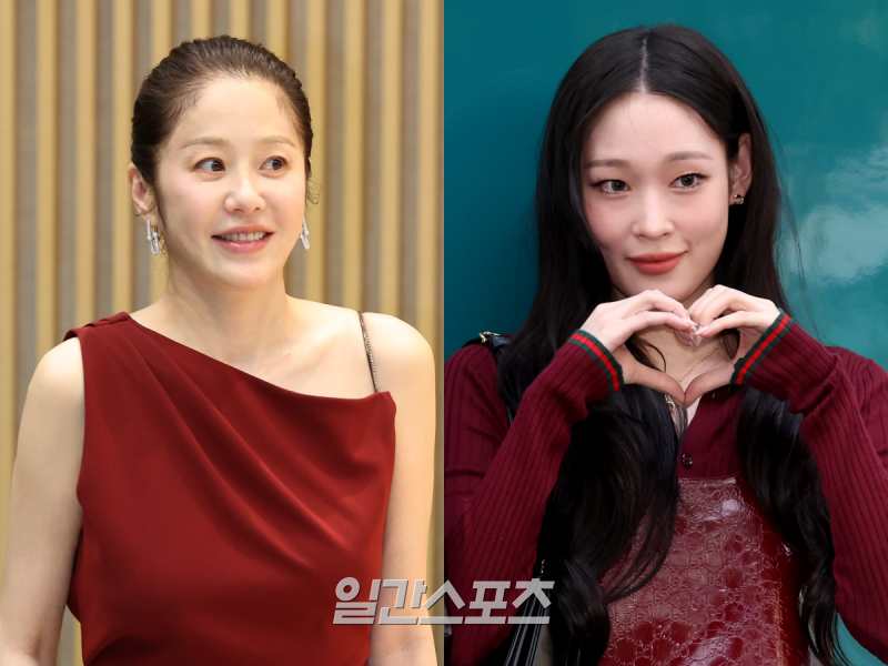 부담 혹은 실수…<b>고현정</b>, 前남편 조카 <b>애니</b> 응원→취소 [왓IS]
