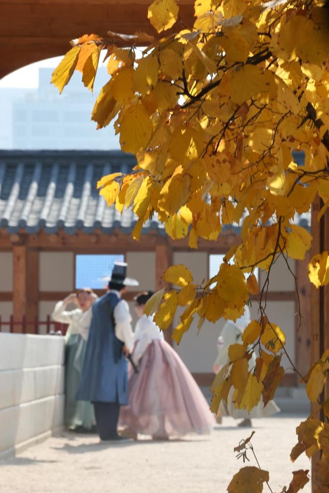 이번 <b>주말</b> 전국에 <b>가을비</b>… 제주 최대 60, 기온은 평년 수준