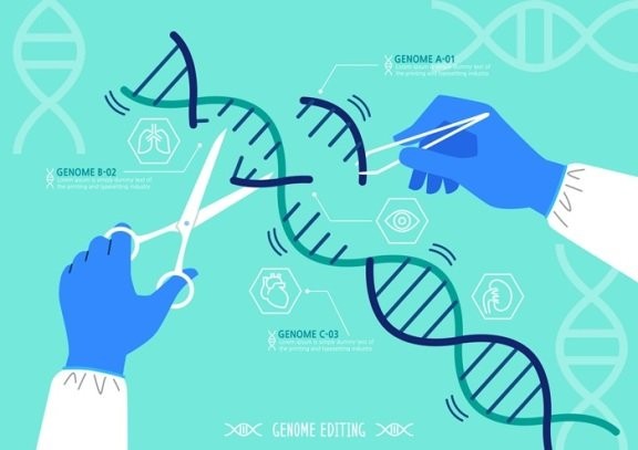 크리스퍼 카스9 유전자가위(CRISPR-Cas9) 관련 기술은 인간 복제에 핵심 기술로 꼽힌다.Gettyimage