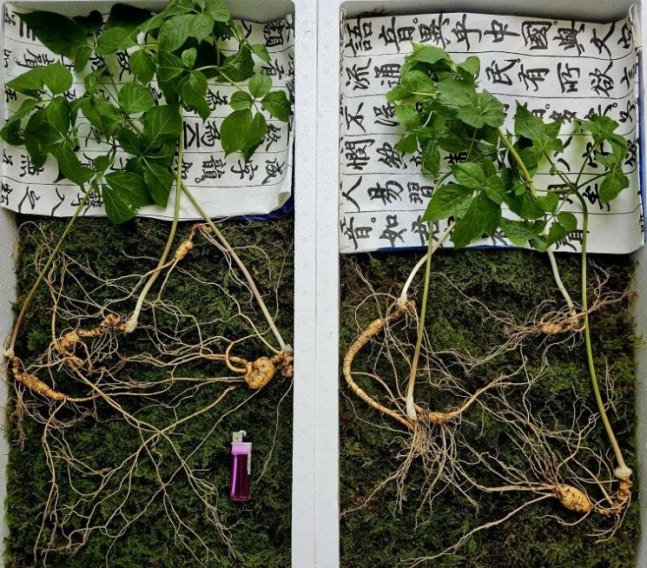 0005254547_001_20230504082101266.jpg?type=w647