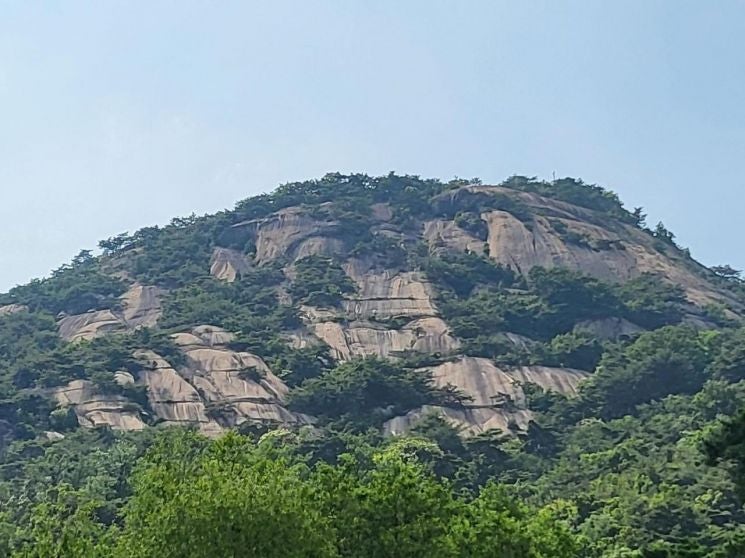 종로구 ‘<b>북악산</b>’ ‘인왕산’ 100대 명품숲 선정