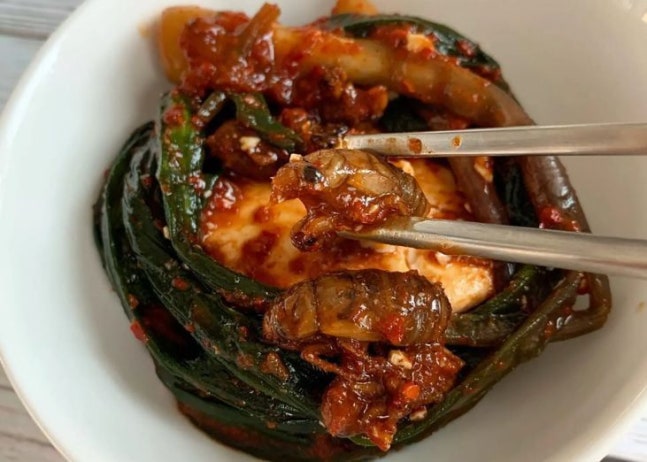Joseph Yoon, a Korean American chef, created cicada kimchi. [Photo credit=The New York Times (NYT) capture]