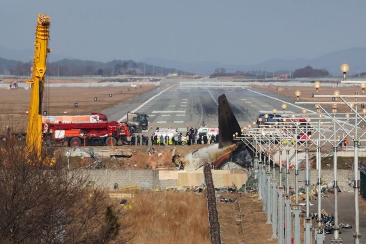 <b>제주항공</b> 참사에…중국도 '버드스트라이크' 방지 강화