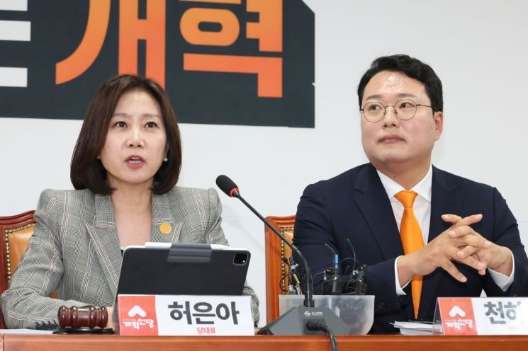 개혁신당 집안싸움…<b>허은아</b> 대표 <b>가처분 기각</b>에 항고 방침