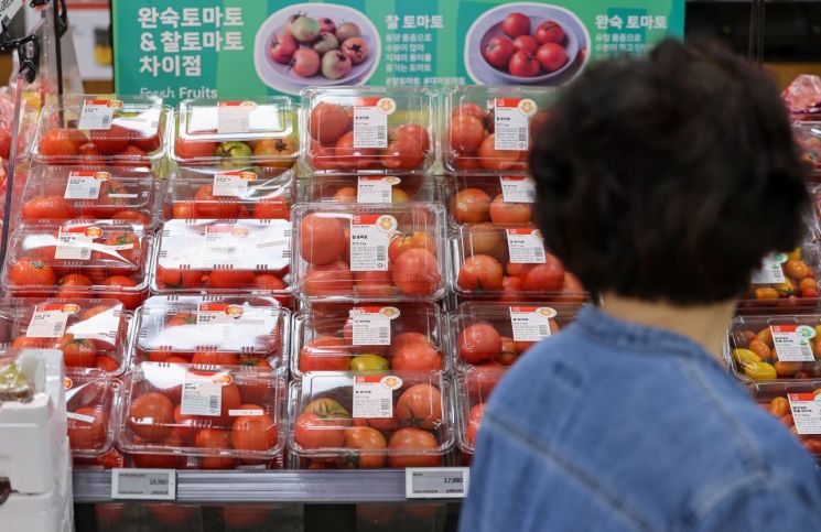 서울 시내 한 대형마트에 토마토가 진열돼 있다. 연합뉴스