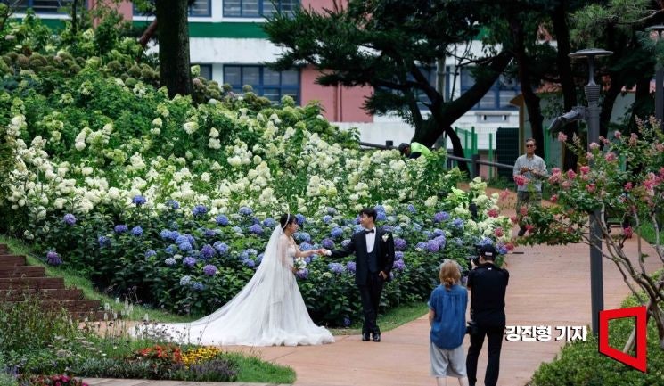Korean news article image
