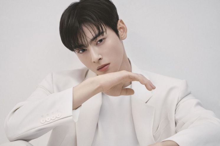 차은우·제니·한가인·추성훈 가족 등 산불 성금 <b>기부</b>행렬