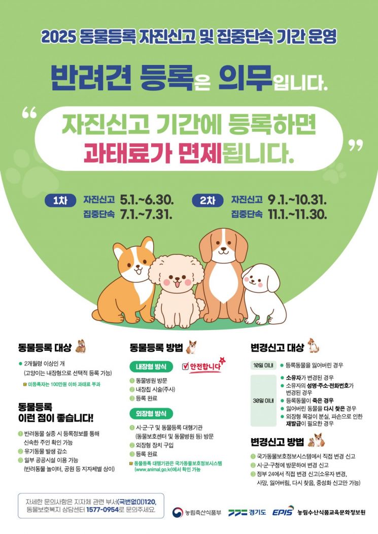 수원시의 반려동물 자진신고 및 집중단속 운영기간 운영 안내 포스터