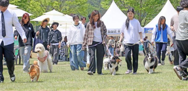 임실군이 지난 3일부터 5일까지 3일간 오수 의견문화제와 함께하는 임실N펫스타가 성황리에 마무리됐다.임실군 제공