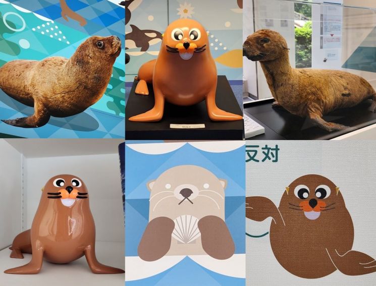 일본 국립 영토주권전시관에서 독도 강치 활용한 전시.서경덕 교수