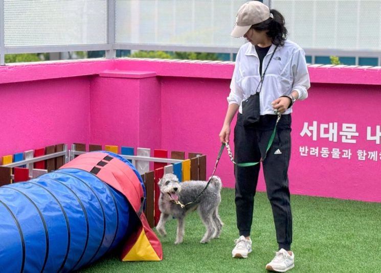 서대문구가 2025년 동물등록 자진신고 및 집중단속 기간을 운영한다.사진은 반려동물 종합문화공간인‘서대문 내품애(愛)센터’옥상 놀이터 모습.서대문구 제공.