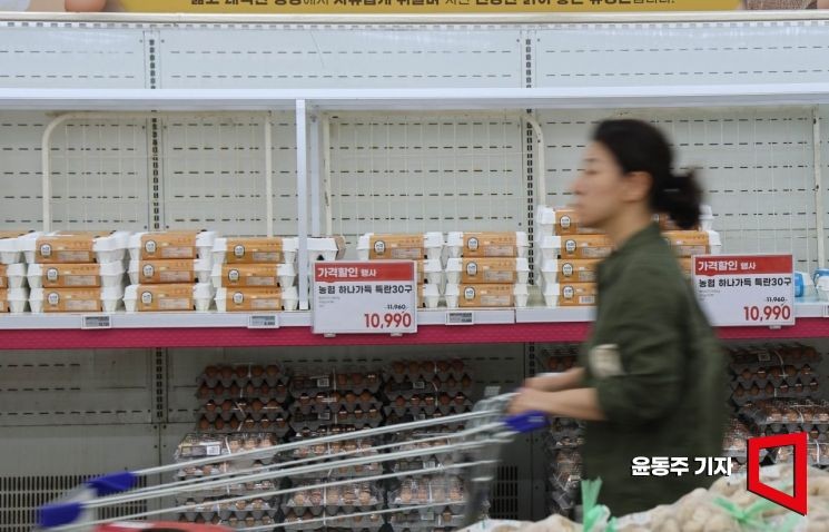 농식품부, '金계란·金배추' 잡고 밥상 물가 안정 총력…TF 가동