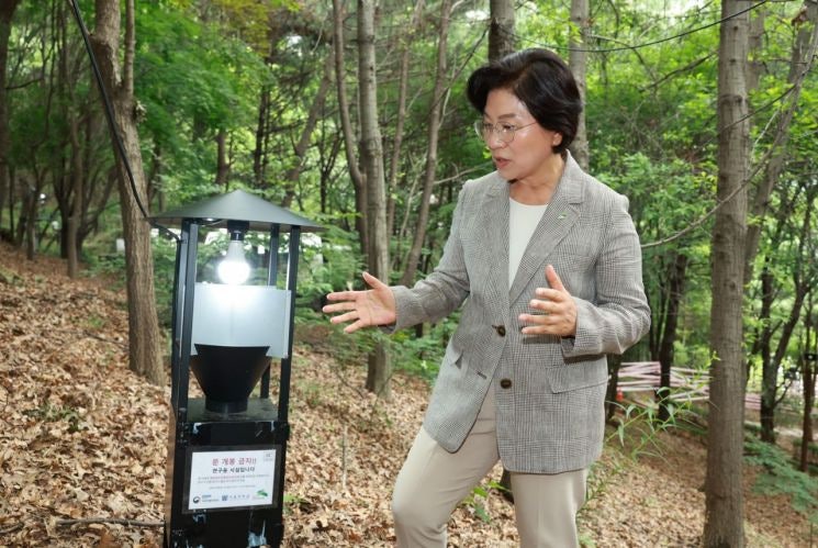 은평구, ‘<b>러브버그</b>’ <b>친환경 방제</b>에 총력