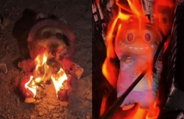 SNS에 올라온 라부부 인형을 불태우는 영상. 틱톡