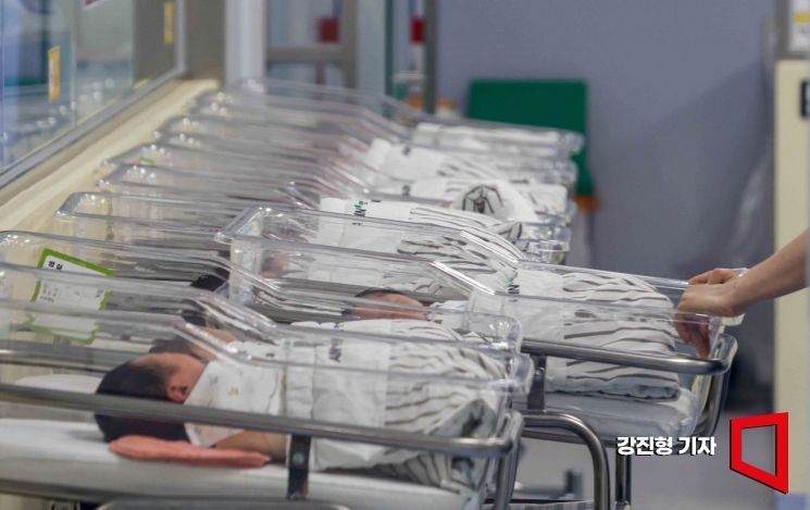 신생아실에 누워있는 신생아들.