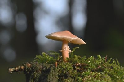 사진은 해당 기사 내용과 직접적인 관계 없음 픽사베이